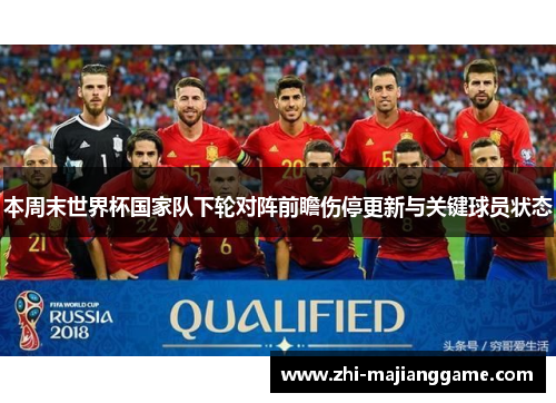 本周末世界杯国家队下轮对阵前瞻伤停更新与关键球员状态