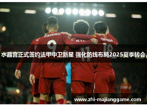 水晶宫正式签约法甲中卫新星 强化防线布局2025夏季转会